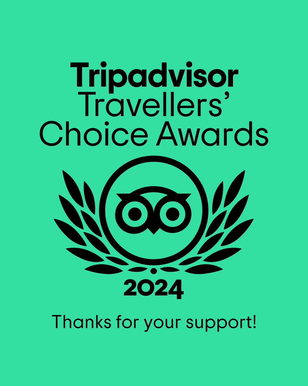 Tripadvisor Travelers Choice 2024
